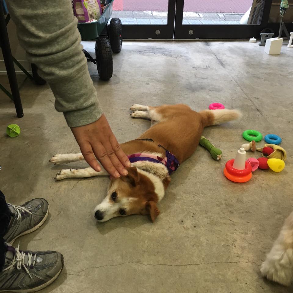 グループレッスン（FUNクラス）